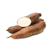 manioc